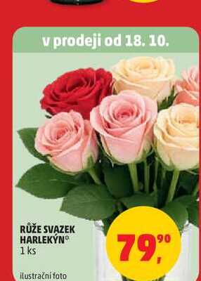 RŮŽE SVAZEK HARLEKỲN 1 ks