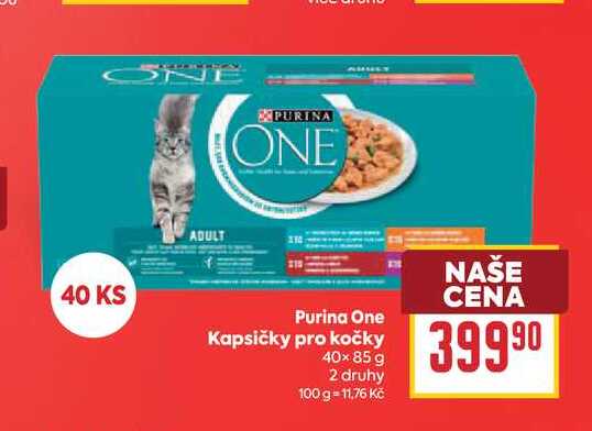 Purina One Kapsičky pro kočky 40×85 g 