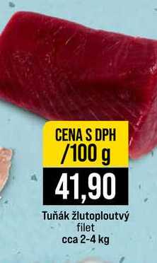 Tuňák žlutoploutvý filet cca 2-4 kg 100g