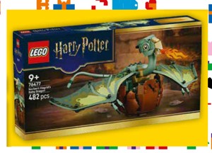 LEGO® Harry Potter™ 76477 Norbert: Hagridovo dračí mládě