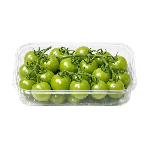 Rajčata Cherry zelená keříková, vanička