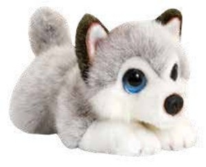 ŠTĚŇÁTKO HUSKY