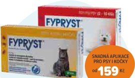 Antiparazitní pipety pro psy a kočky Fypryst