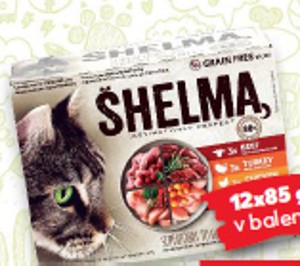 Shelma kočka