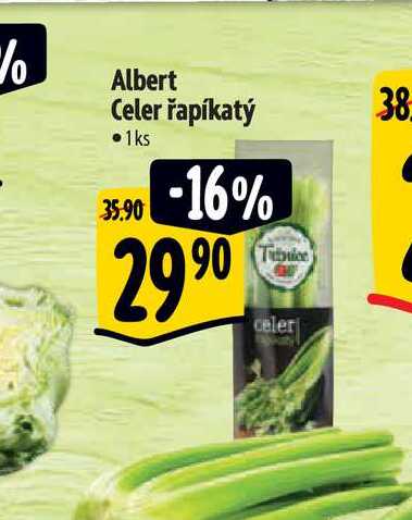  Albert Celer řapíkatý • 1 ks  
