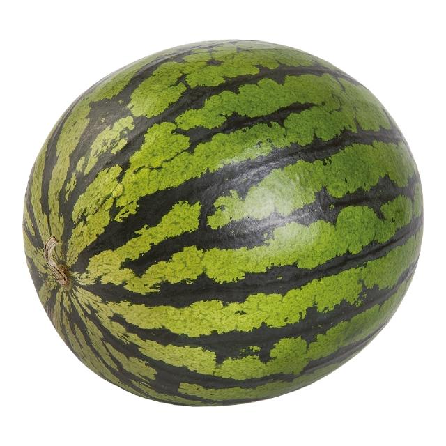 Meloun vodní mini