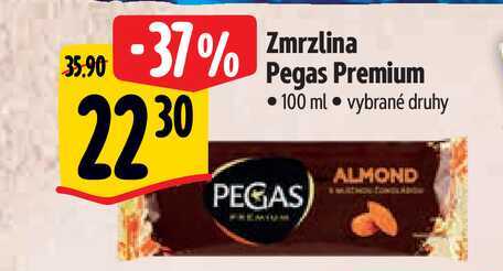   Zmrzlina Pegas Premium 100 ml  