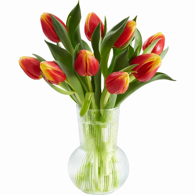 Kytice Tulipány dvoubarevné