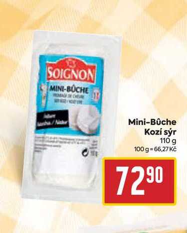 Mini-Bûche Kozí sýr 110 g 