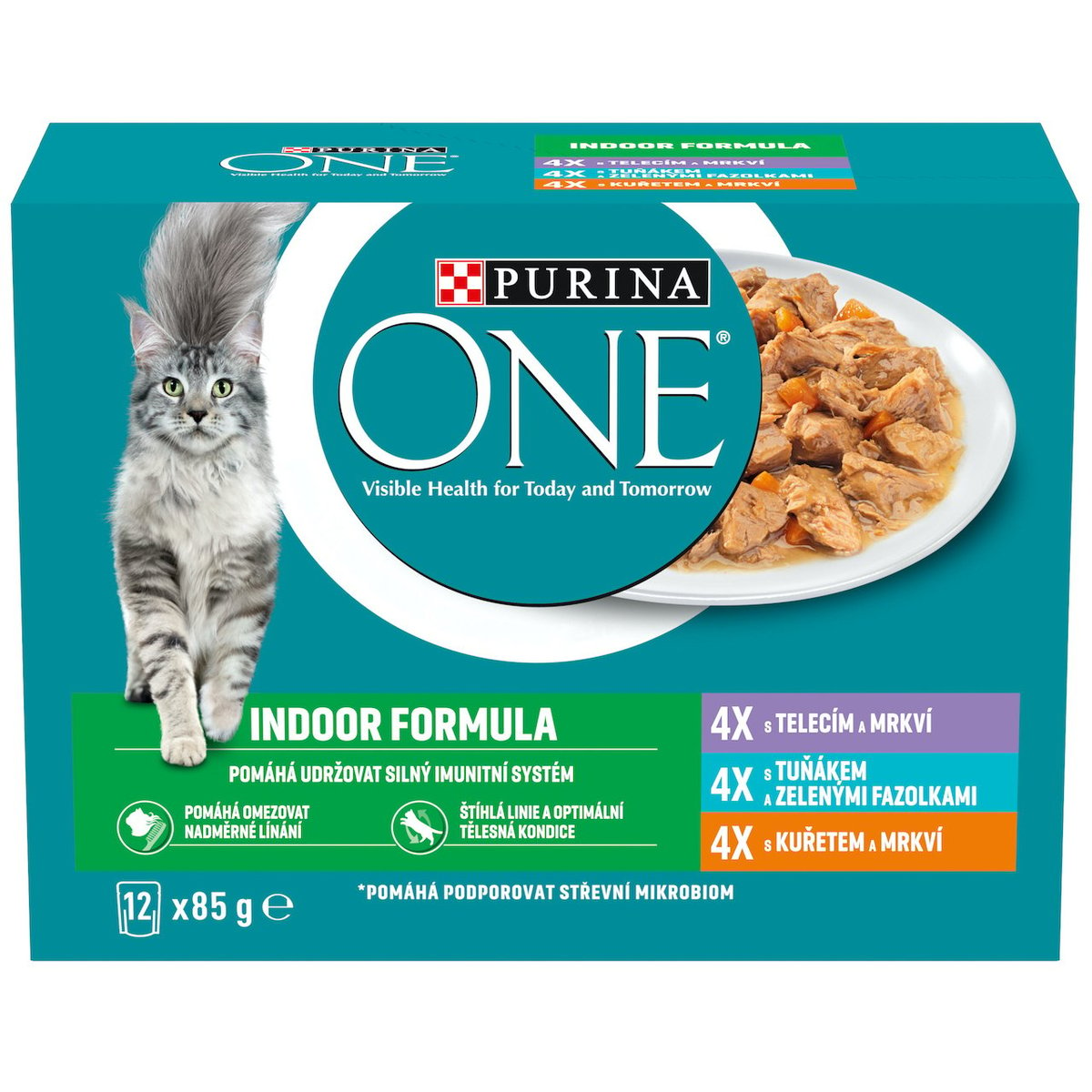 Purina ONE Indoor výběr ve šťávě pro kočky (12×85 g)