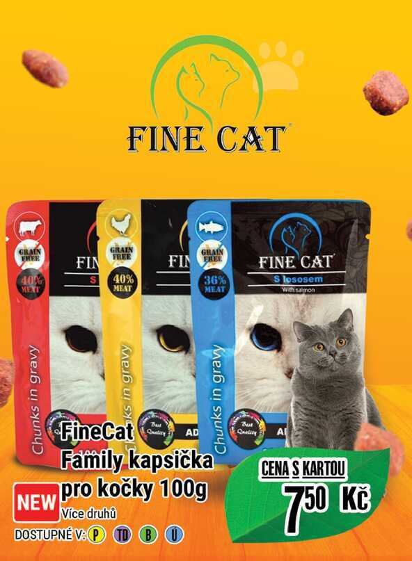 FineCat Family kapsička pro kočky 100g 