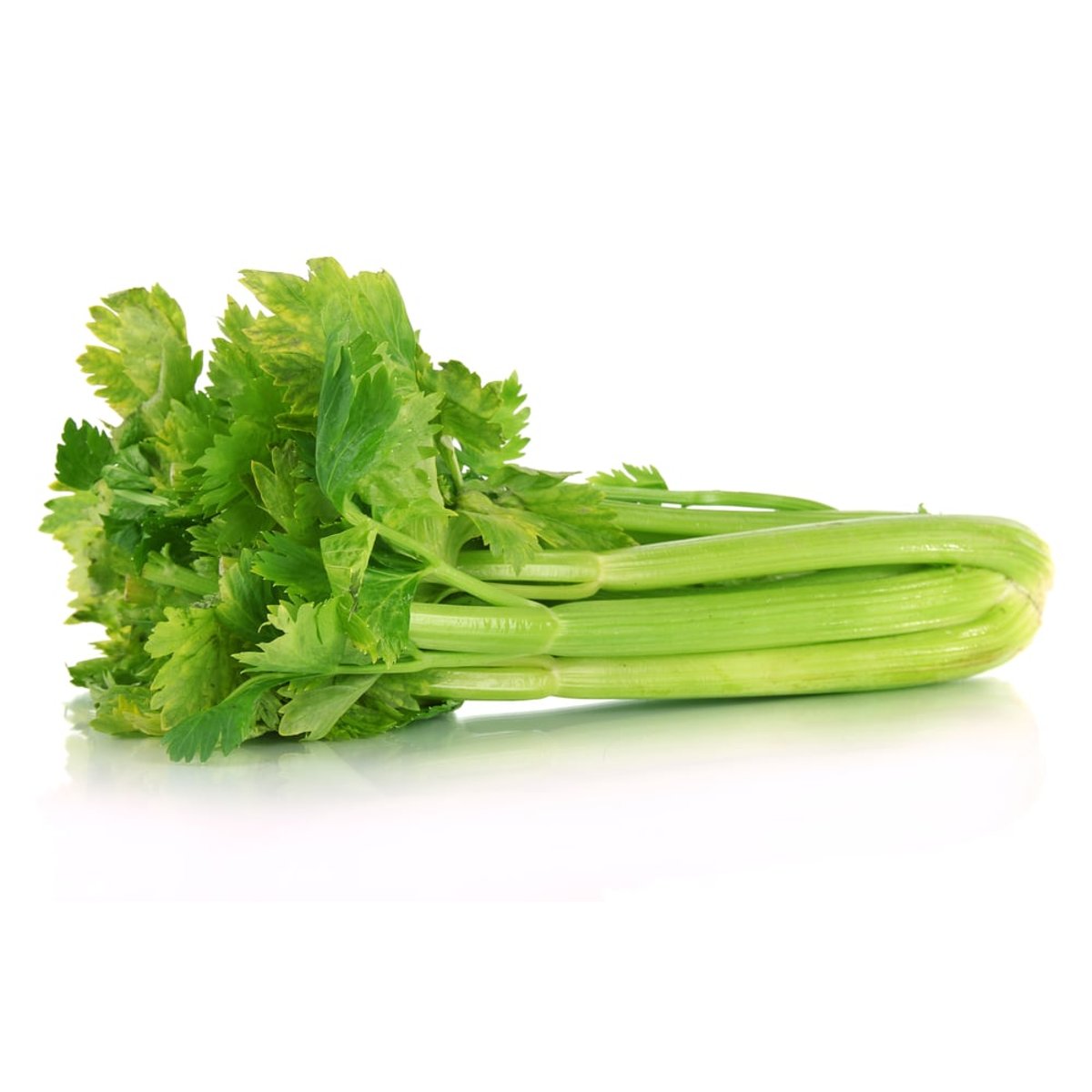 Celer řapíkatý 1 ks