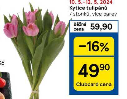 Kytice tulipánů 7 stonků, více barev 