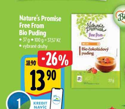 Nature's Promise Free From Bio Puding 37 g 