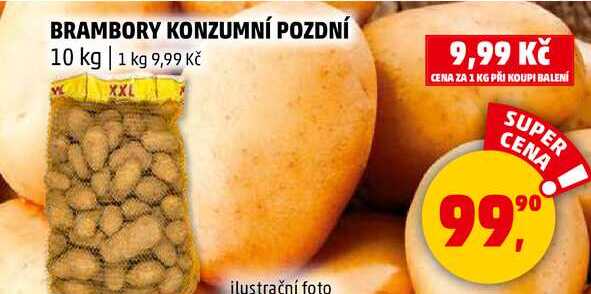 BRAMBORY KONZUMNÍ POZDNÍ, 10 kg