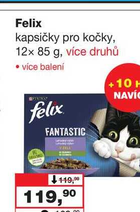 Felix kapsičky pro kočky, 12x 85 g