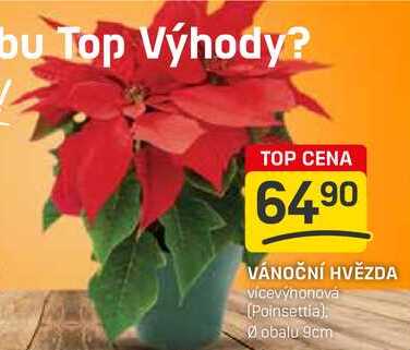 VÁNOČNÍ HVĚZDA  