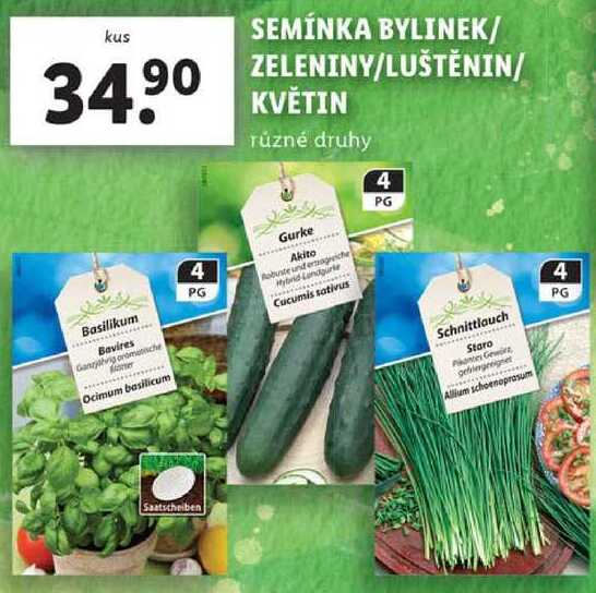 SEMÍNKA BYLINEK/ZELENINY/LUŠTĚNIN/KVĚTIN