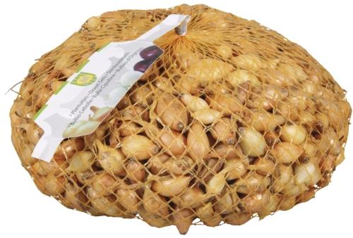 Sazečka, 250 g