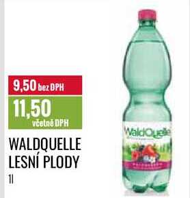 WALDQUELLE LESNÍ PLODY 1l