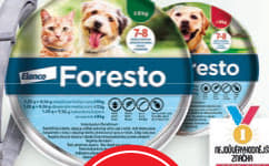 FORESTO 1,25 G + 0,56 G OBOJEK KOČKY + PSY DO 8 KG