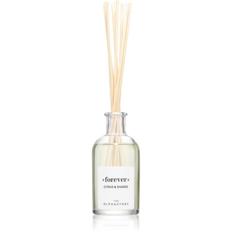 Ambientair The Olphactory Citrus & Shades aroma difuzér Forever 100 ml