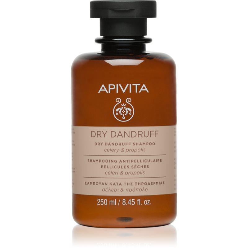 Apivita Dandruff Dry Dandruff Shampoo šampon proti lupům 250 ml
