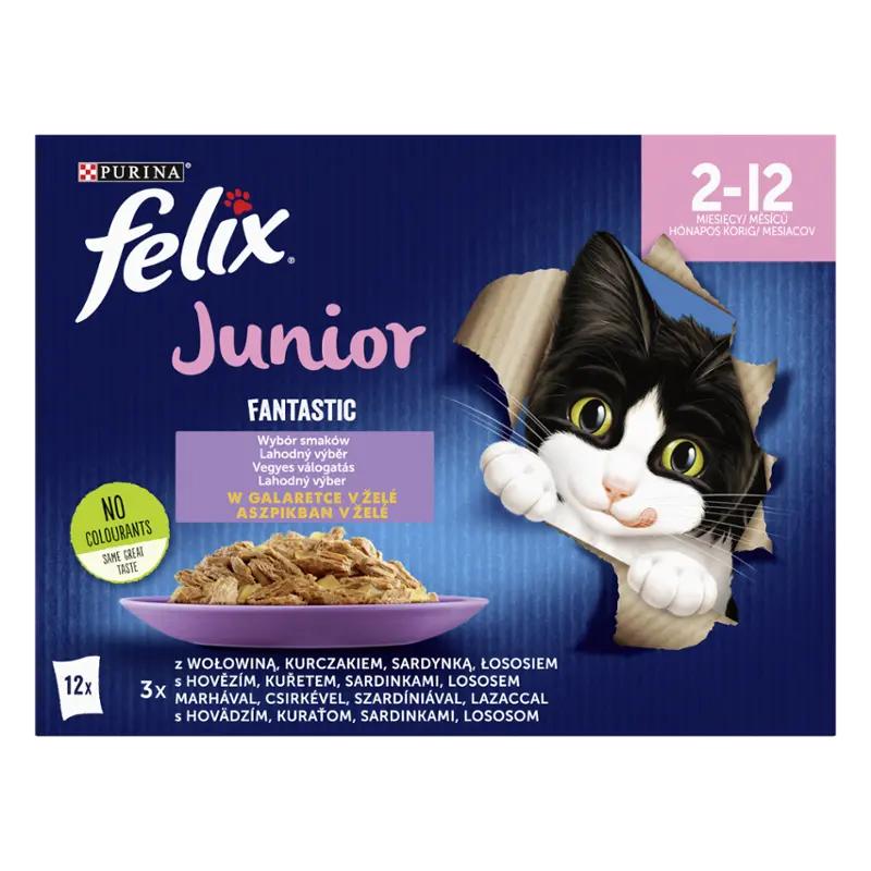 Felix Fantastic Junior lahodný výběr 12x 85 g, 1020 g