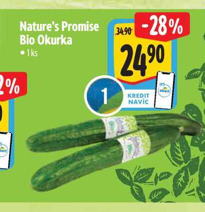   Nature's Promise  Bio Okurka   1ks  