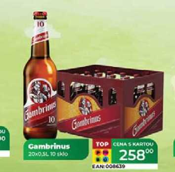 Gambrinus 20x0,5L 10 sklo  