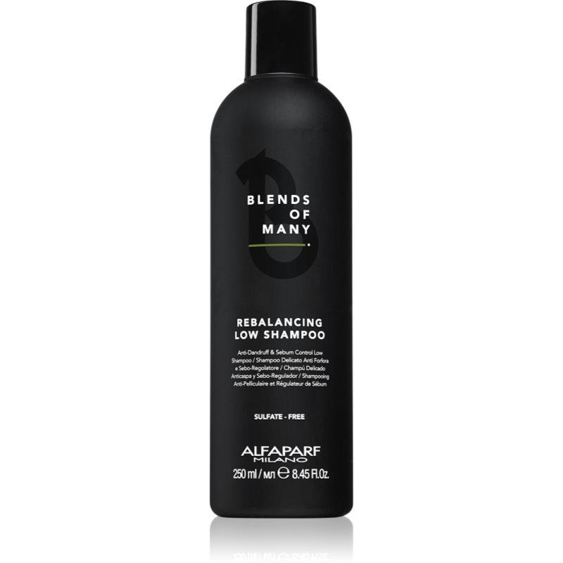 Alfaparf Milano Blends of Many Rebalancing šampon proti lupům 250 ml