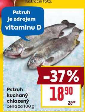 Pstruh kuchaný chlazený cena za 100g