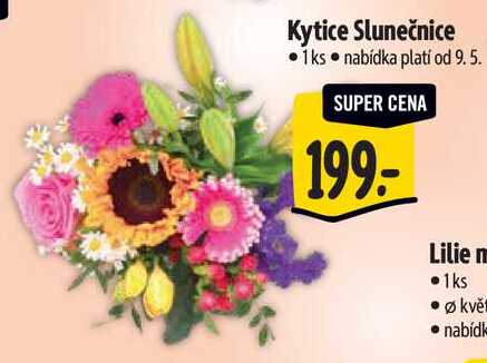 Kytice Slunečnice 