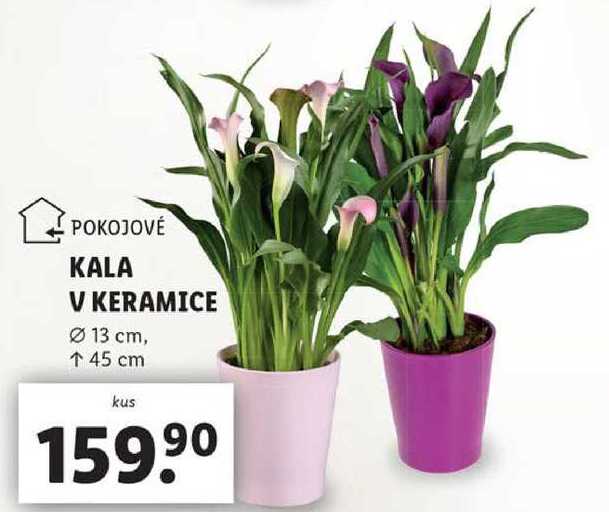 KALA V KERAMICE 