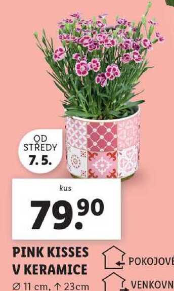 PINK KISSES V KERAMICE 