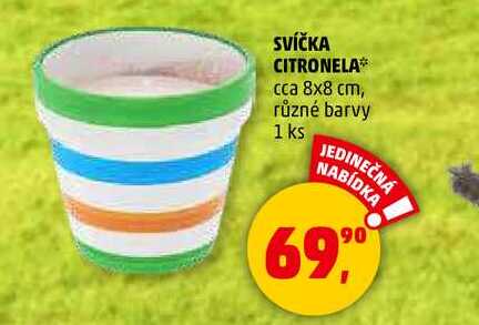 SVÍČKA CITRONELA cca 8x8 cm, různé barvy, 1 ks 