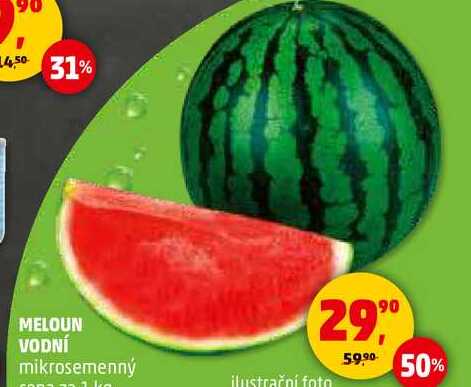 MELOUN VODNÍ mikrosemenný, 1 kg