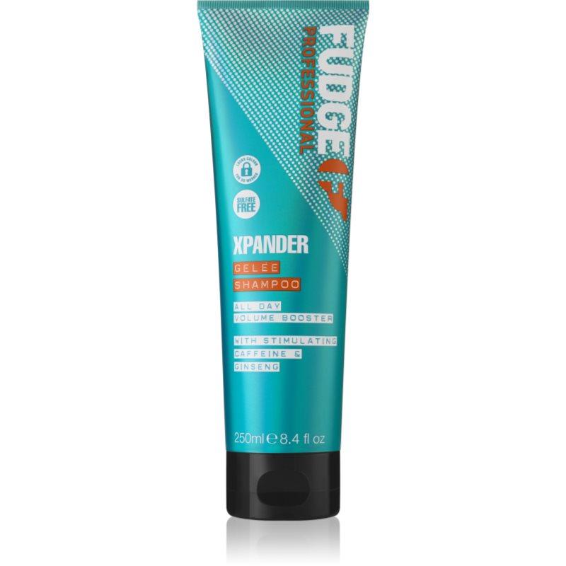 Fudge Care Xpander regenerační šampon pro poškozené a křehké vlasy 250 ml