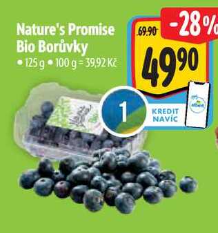 Nature's Promise Bio Borůvky, 125 g