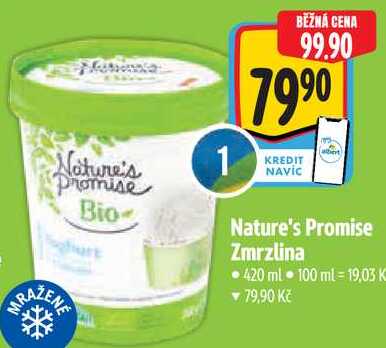 Nature's Promise Zmrzlina, 420 ml