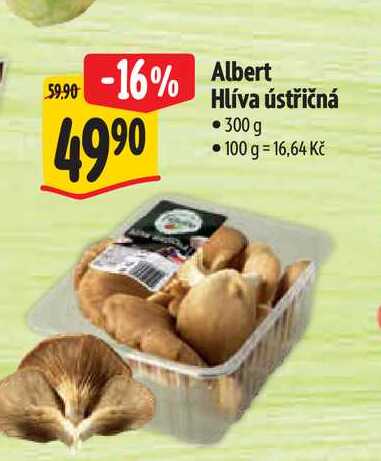  Albert Hlíva ústřičná  300 g 
