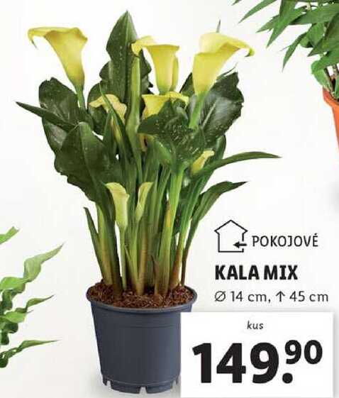 KALA MIX