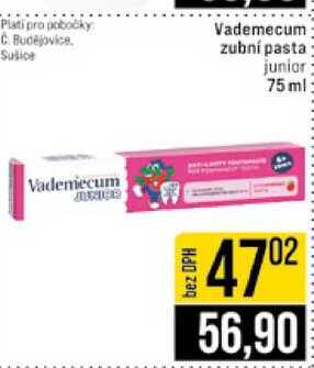 Vademecum zubní pasta junior 75 ml