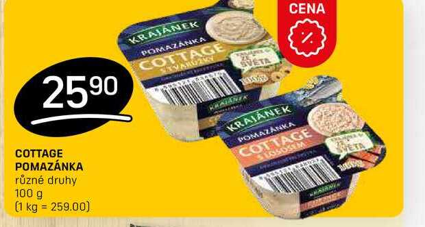COTTAGE POMAZÁNKA různé druhy 100g