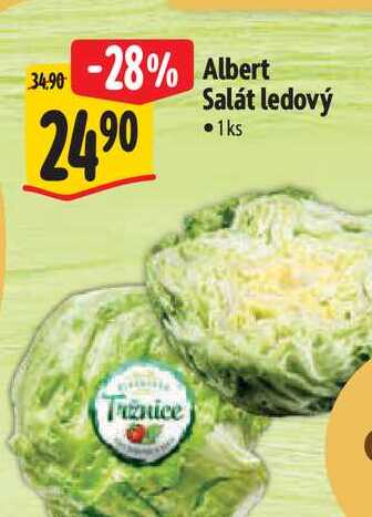  Albert Salát ledový  1 ks