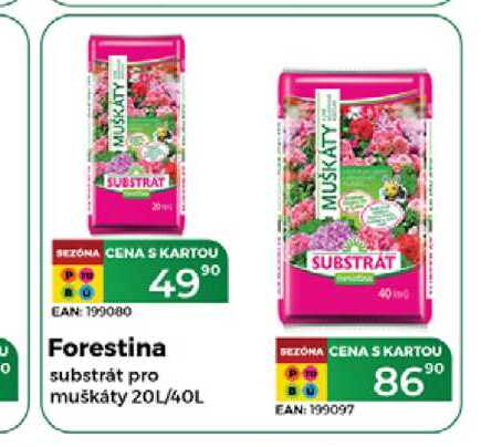 Forestina