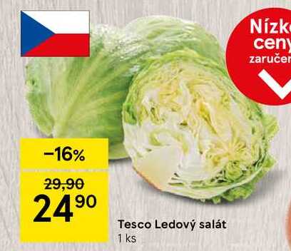 Tesco Ledový salát, 1 ks