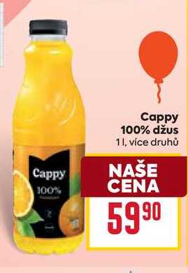 Cappy 100% džus 1l