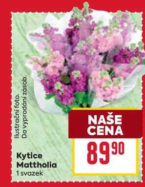 Kytice Mattholia 1 svazek
