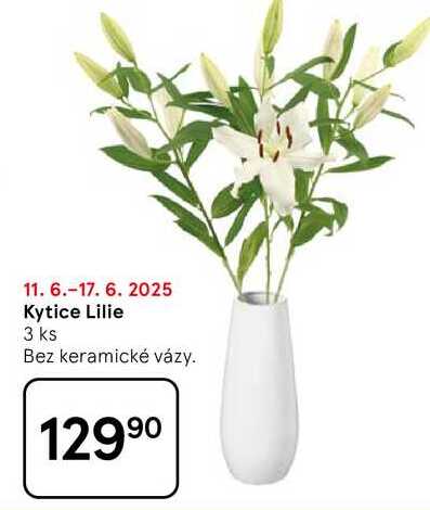 Kytice Lilie, 3 ks Bez keramické vázy